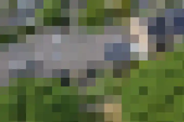 Boslaan 26 Amerongen thumbnail 41