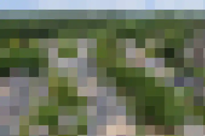 Boslaan 26 Amerongen thumbnail 42