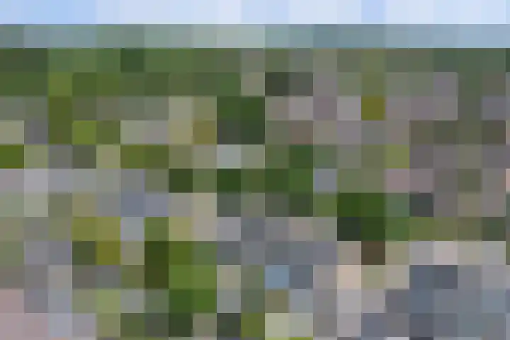 Boslaan 26 Amerongen thumbnail 43