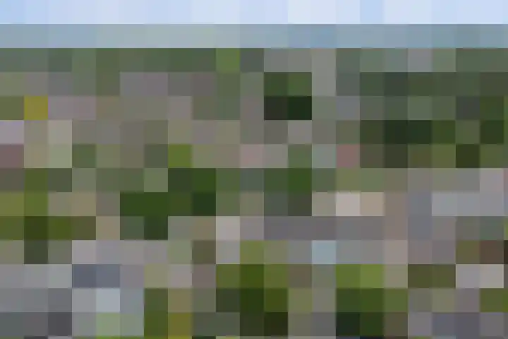 Boslaan 26 Amerongen thumbnail 44