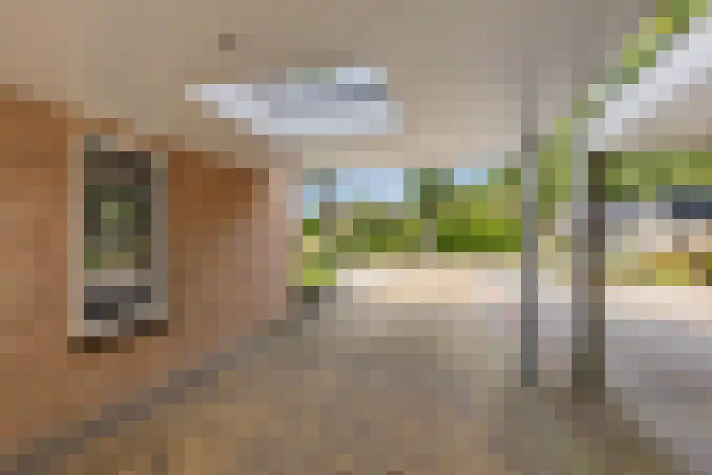 Boslaan 27 Appelscha thumbnail 12