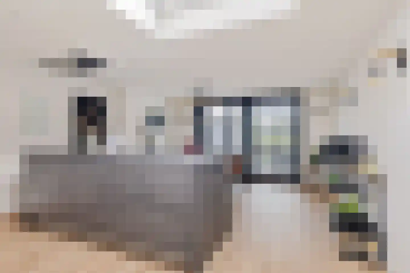 Boslaan 27 Appelscha thumbnail 18