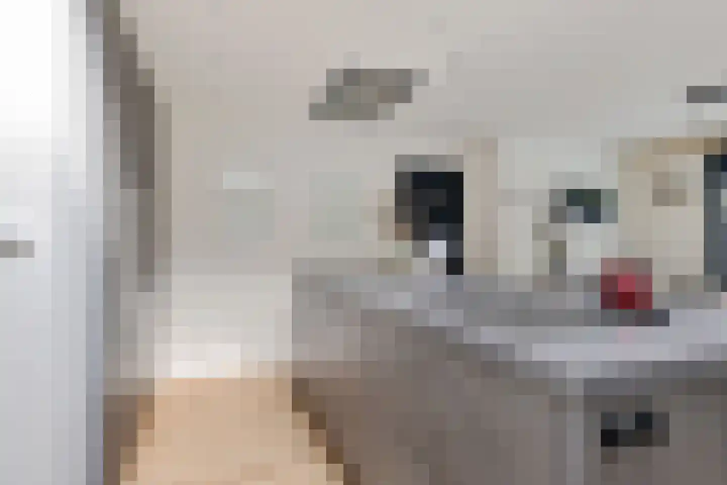 Boslaan 27 Appelscha thumbnail 20