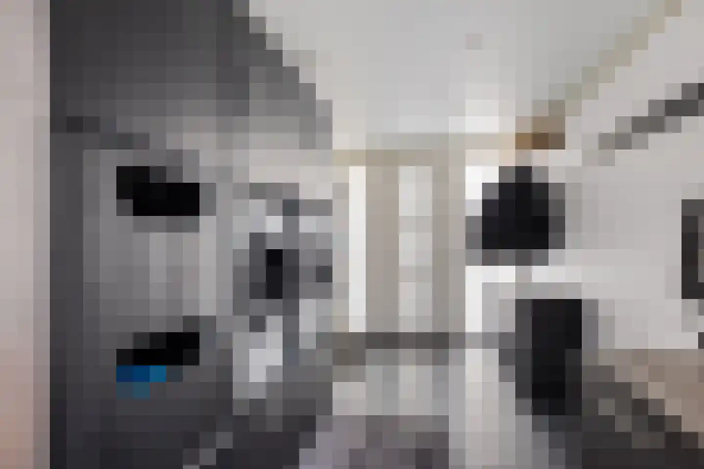 Boslaan 27 Appelscha thumbnail 24