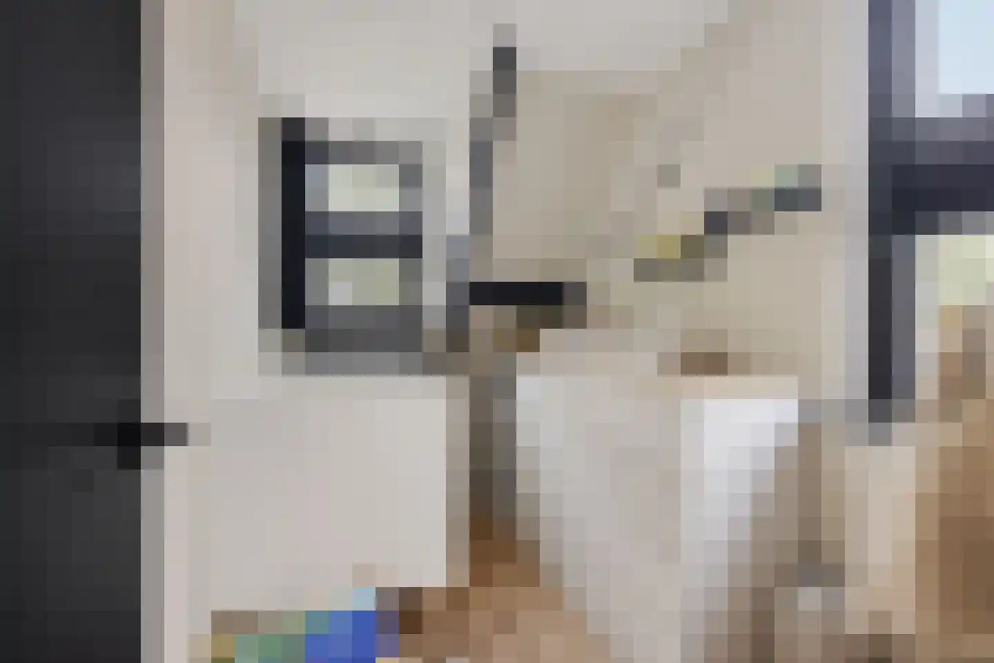 Boslaan 27 Appelscha thumbnail 28