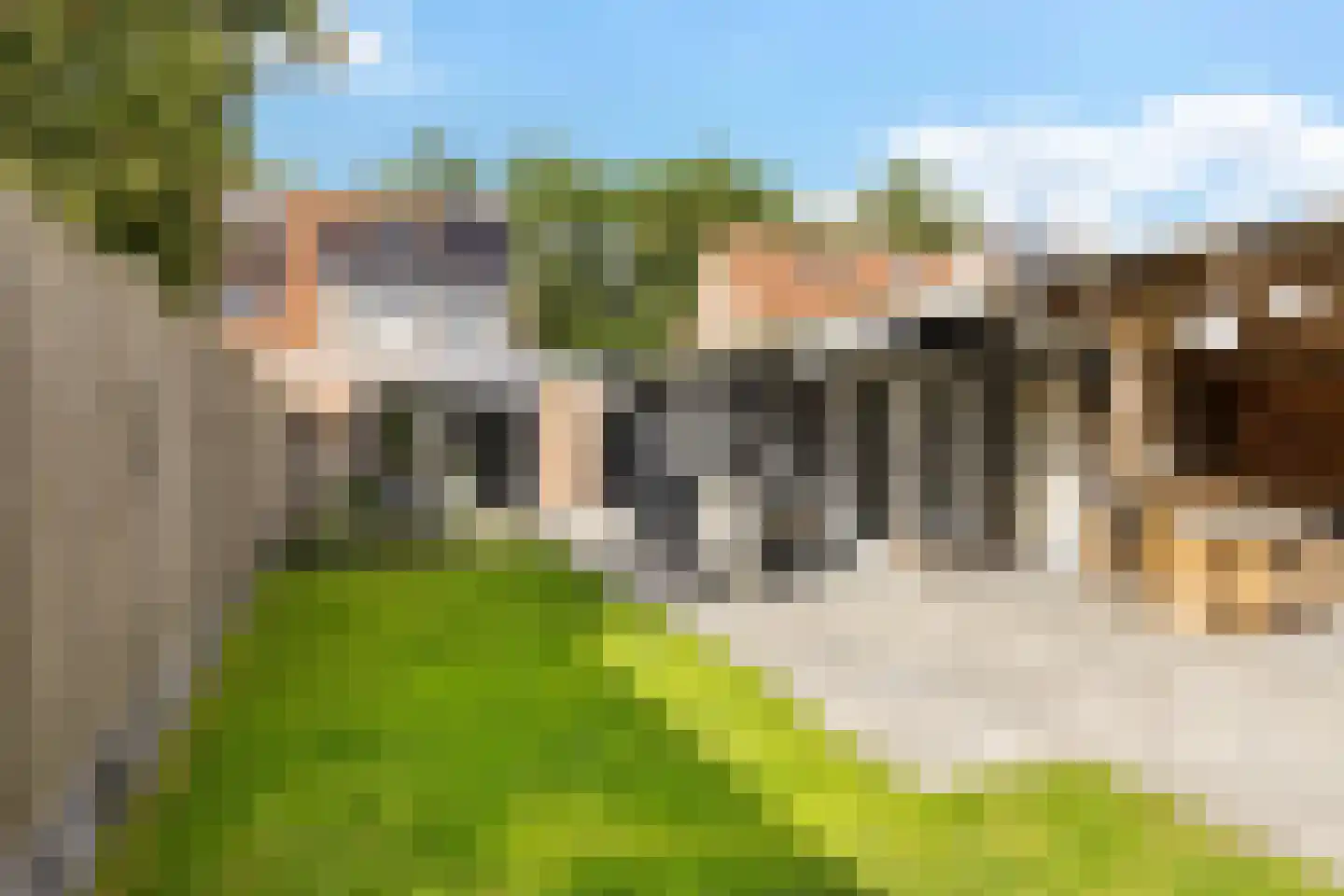 Boslaan 27 Appelscha thumbnail 35