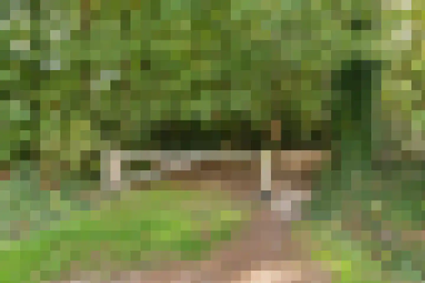 Boslaan 27 Appelscha thumbnail 39