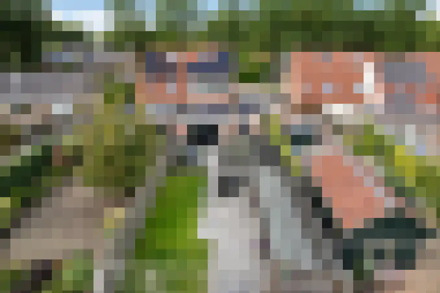 Boslaan 27 Appelscha thumbnail 40