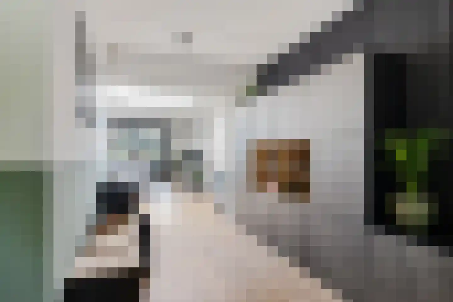 Boslaan 27 Appelscha thumbnail 5
