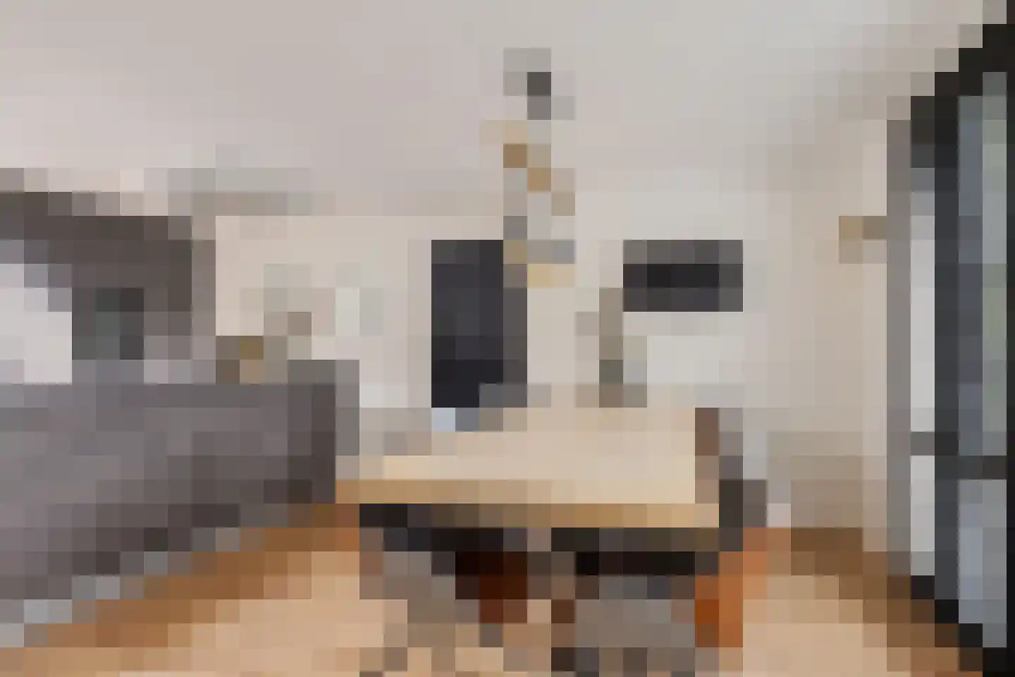 Boslaan 27 Appelscha thumbnail 7