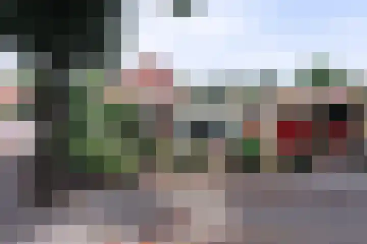 Boslaan 29 Marknesse thumbnail 21