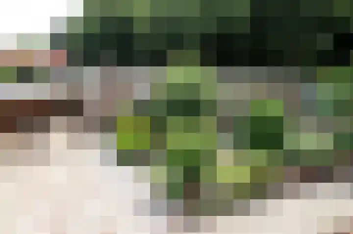 Boslaan 29 Marknesse thumbnail 6