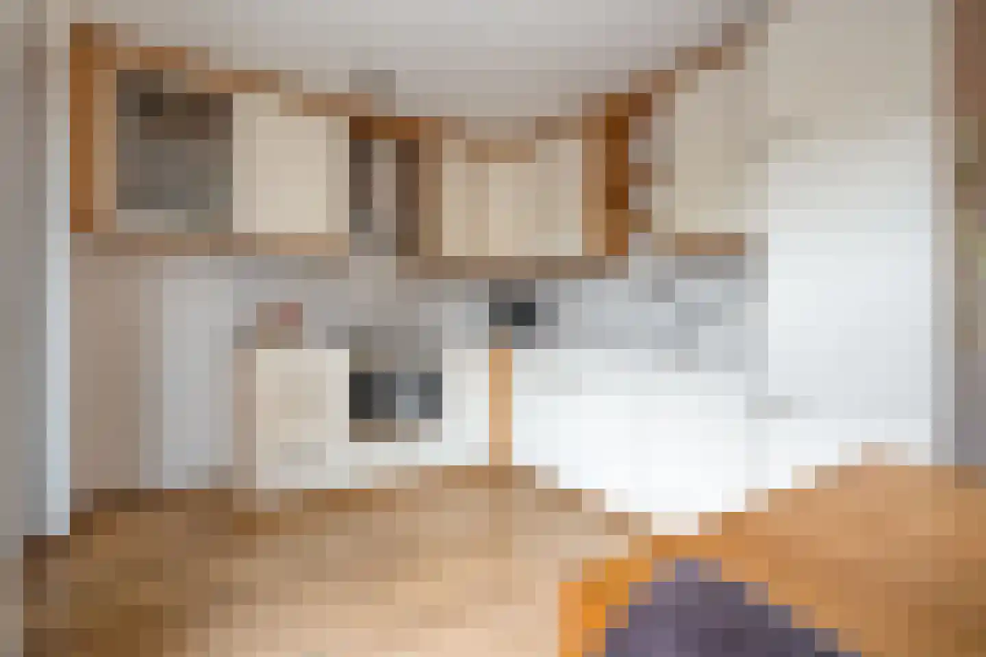 Boslaan 30 Balkbrug thumbnail 12