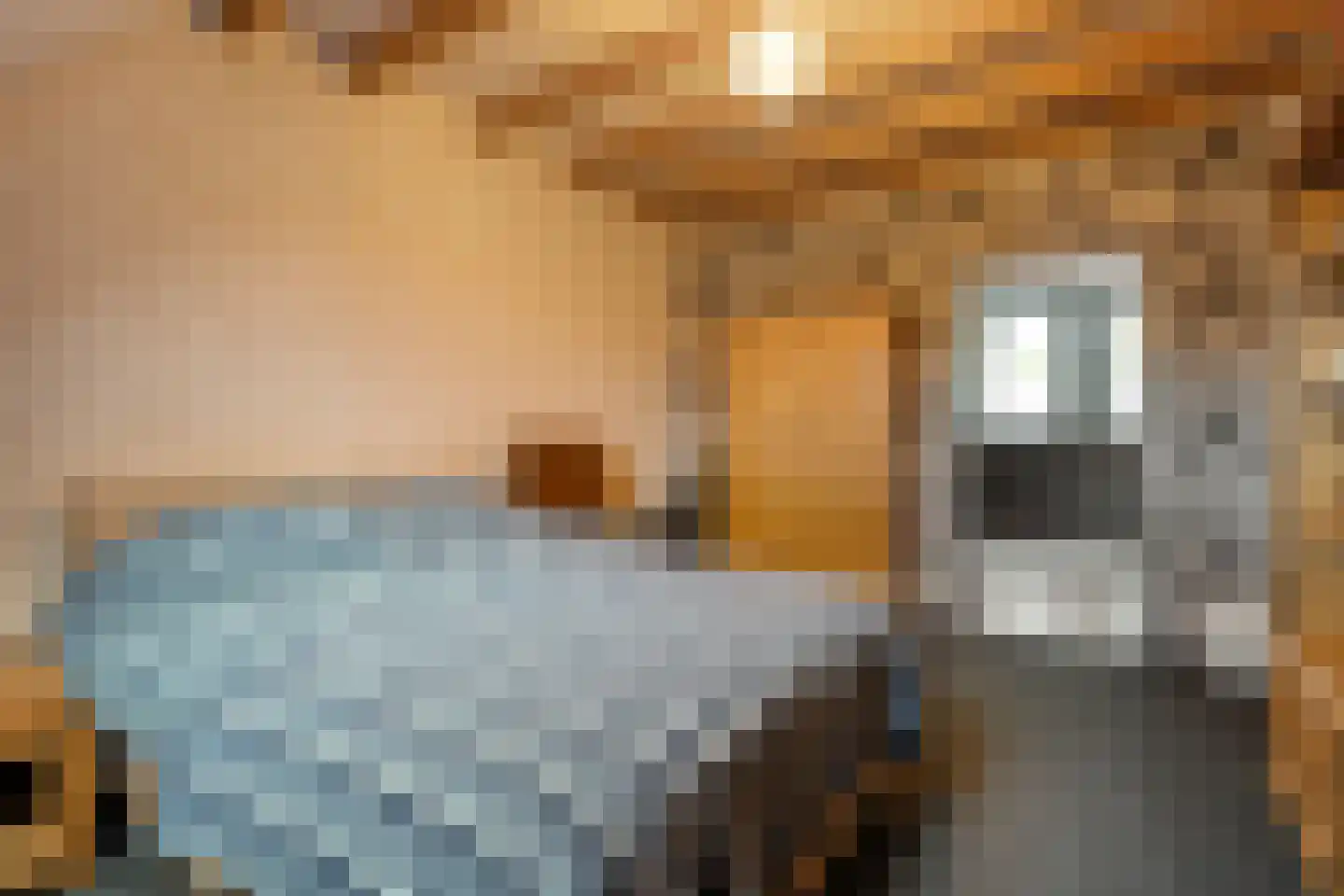 Boslaan 30 Balkbrug thumbnail 23