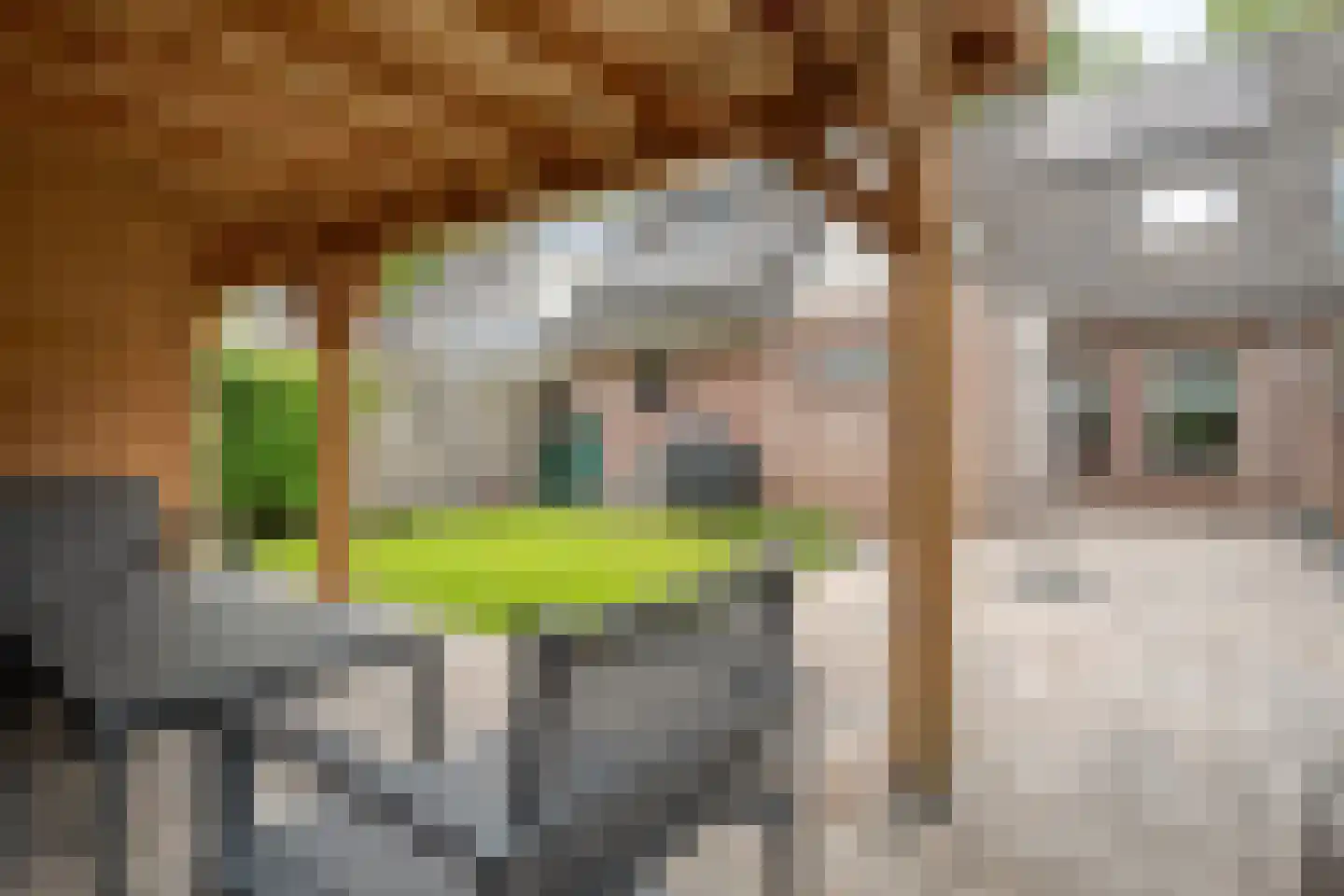 Boslaan 30 Balkbrug thumbnail 35