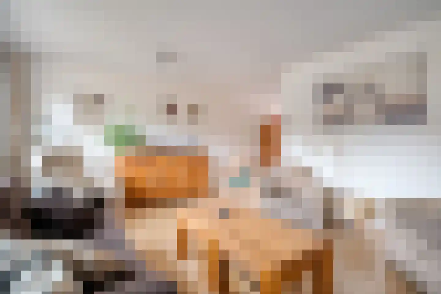Boslaan 30 Balkbrug thumbnail 8