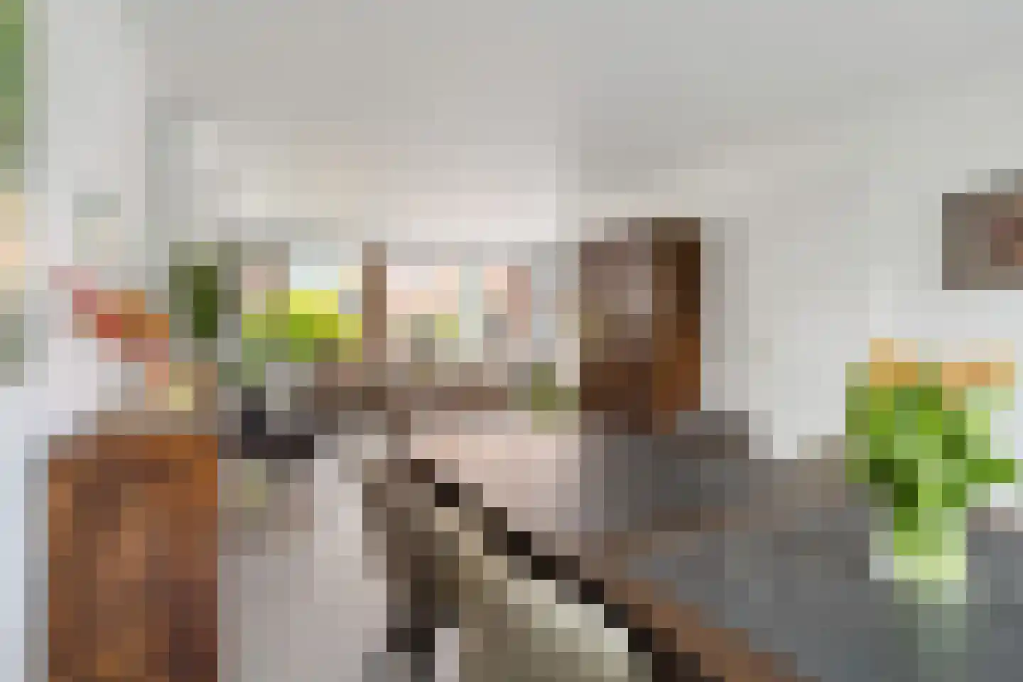 Boslaan 32 Druten thumbnail 19