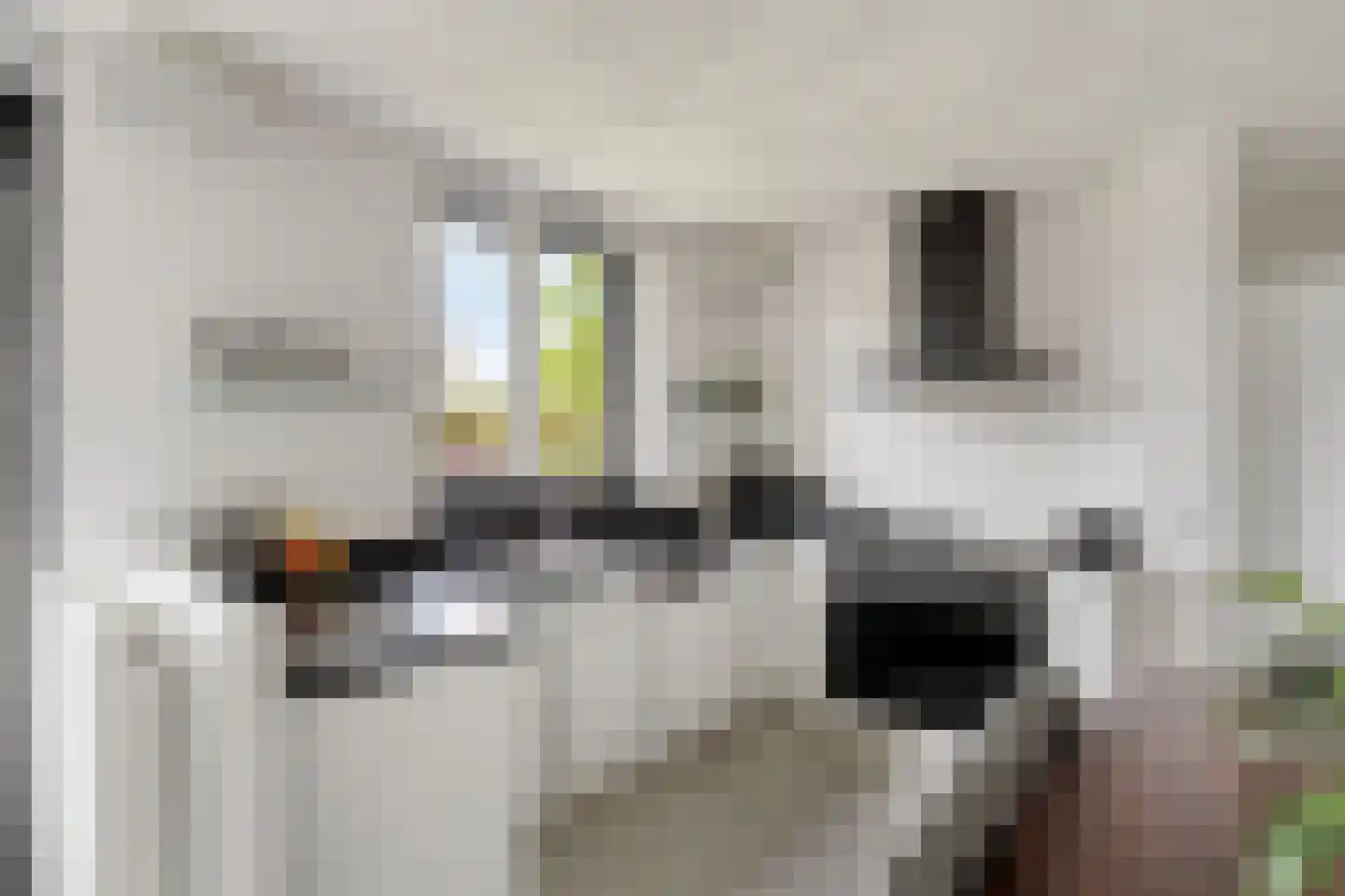 Boslaan 32 Druten thumbnail 24