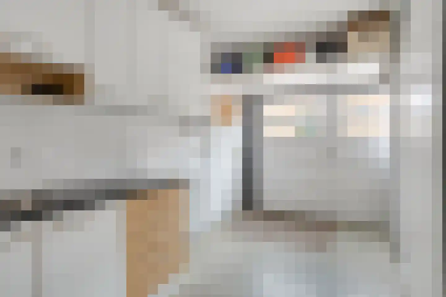 Boslaan 32 Druten thumbnail 26