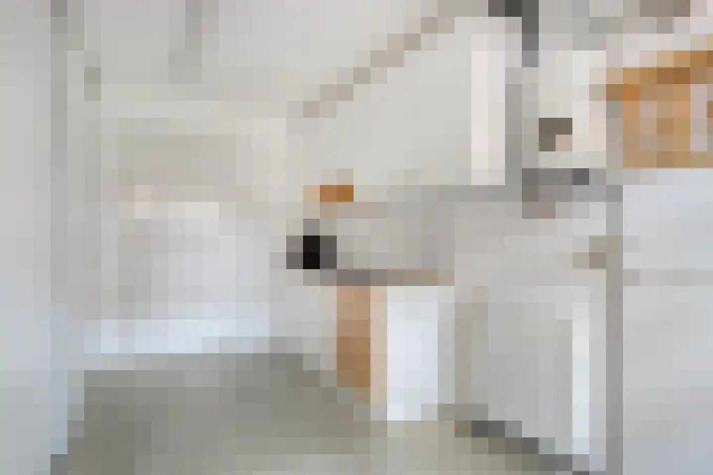 Boslaan 32 Druten thumbnail 27