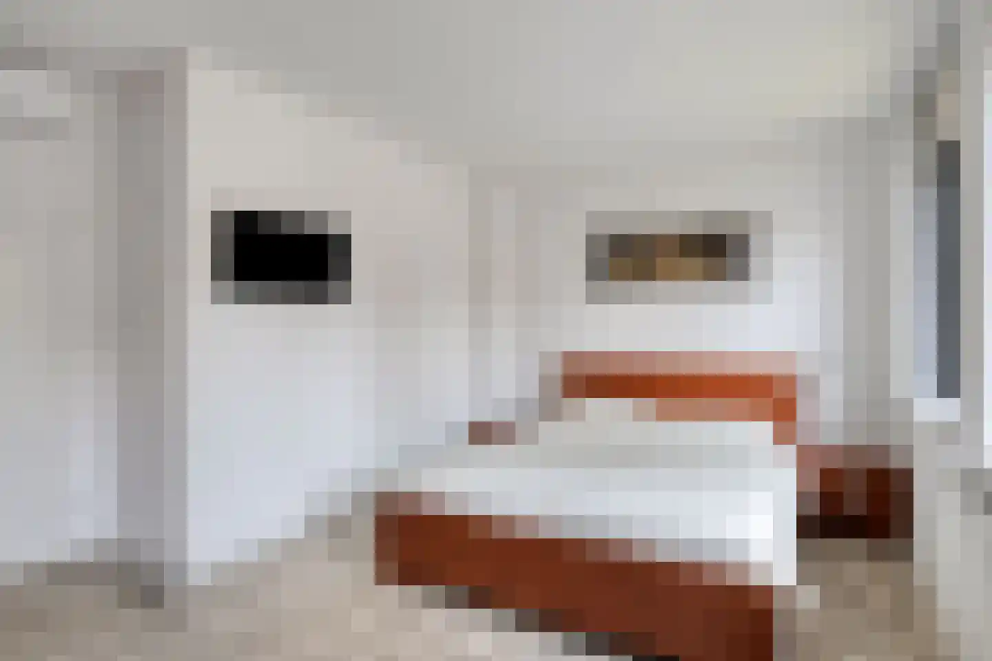 Boslaan 32 Druten thumbnail 31