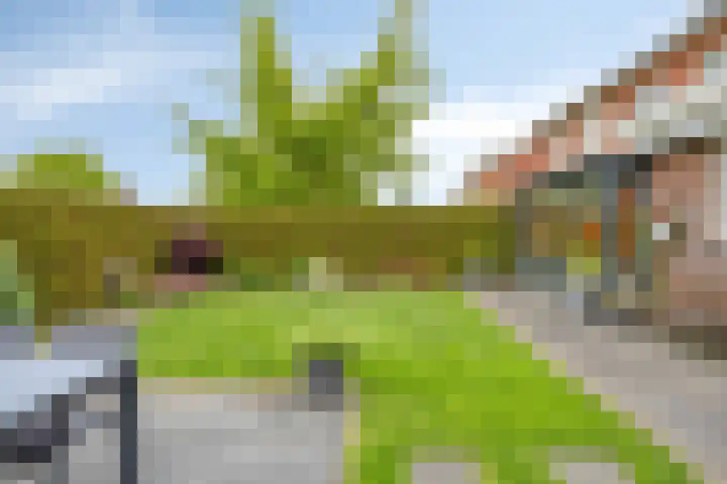 Boslaan 32 Druten thumbnail 53