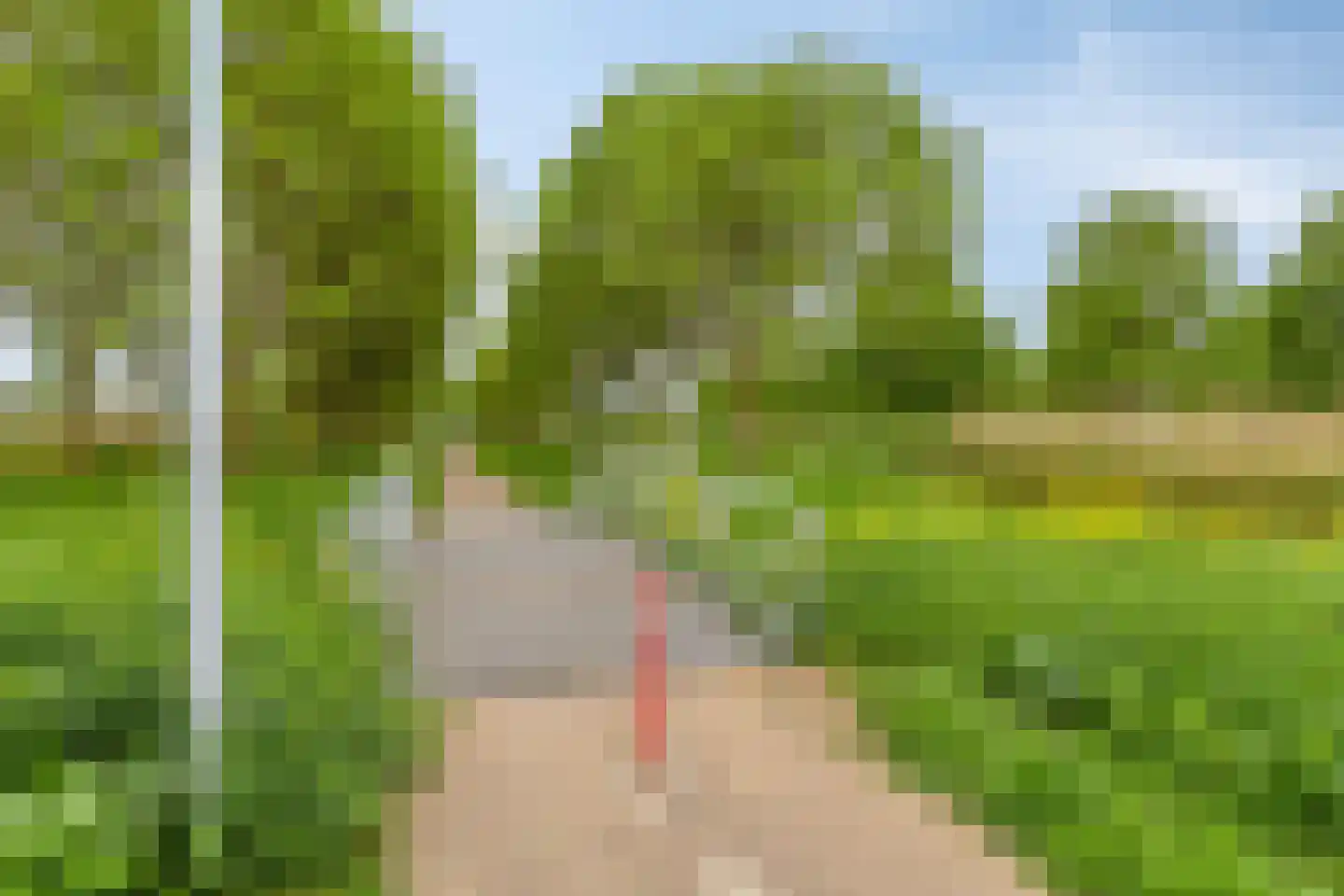 Boslaan 32 Druten thumbnail 57