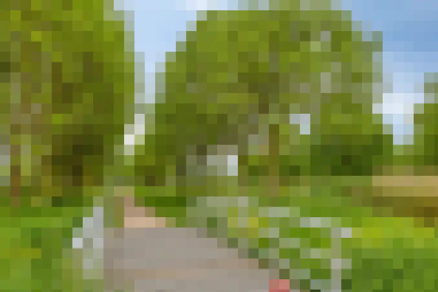 Boslaan 32 Druten thumbnail 58