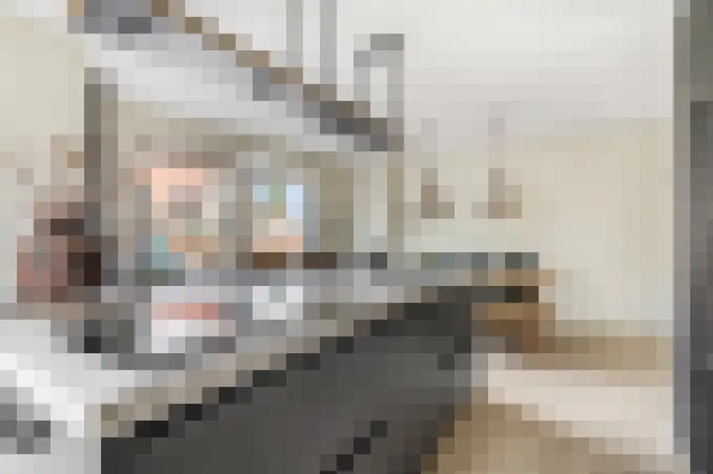 Boslaan 32 Lunteren thumbnail 11