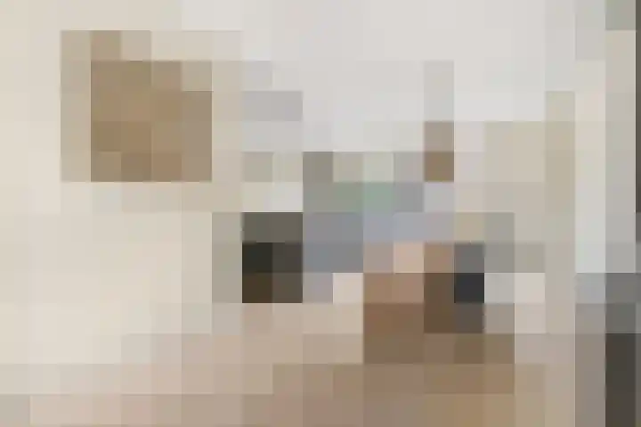 Boslaan 32 Lunteren thumbnail 7