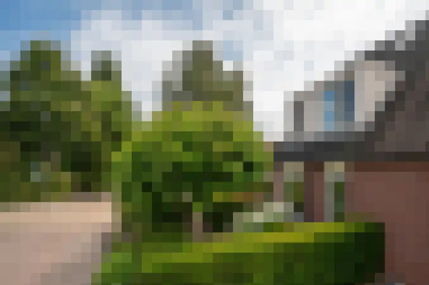 Boslaan 32 Zuidbroek thumbnail 10