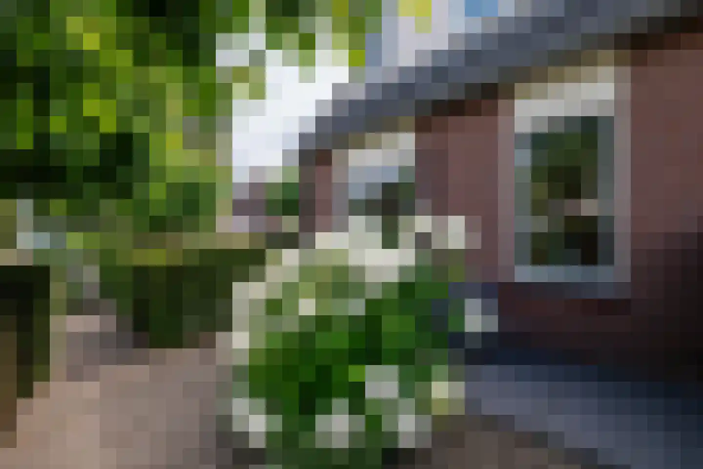 Boslaan 32 Zuidbroek thumbnail 11