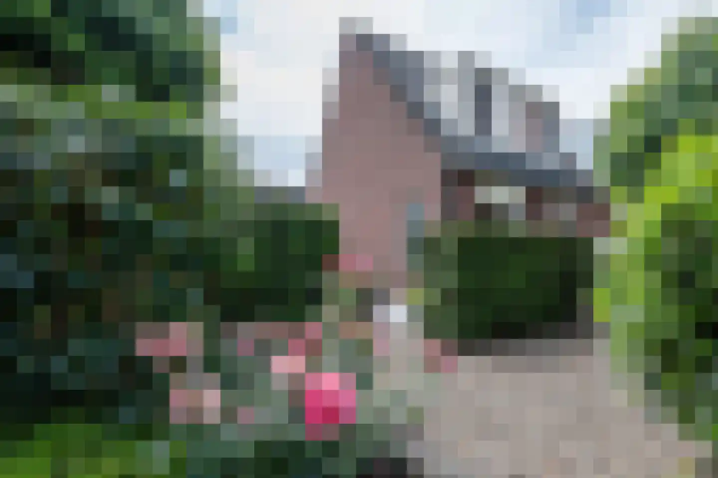 Boslaan 32 Zuidbroek thumbnail 12