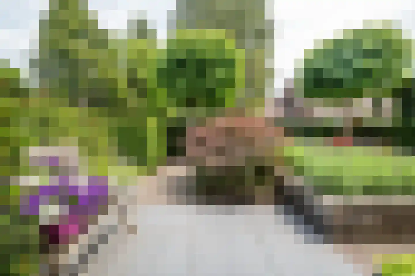 Boslaan 32 Zuidbroek thumbnail 14