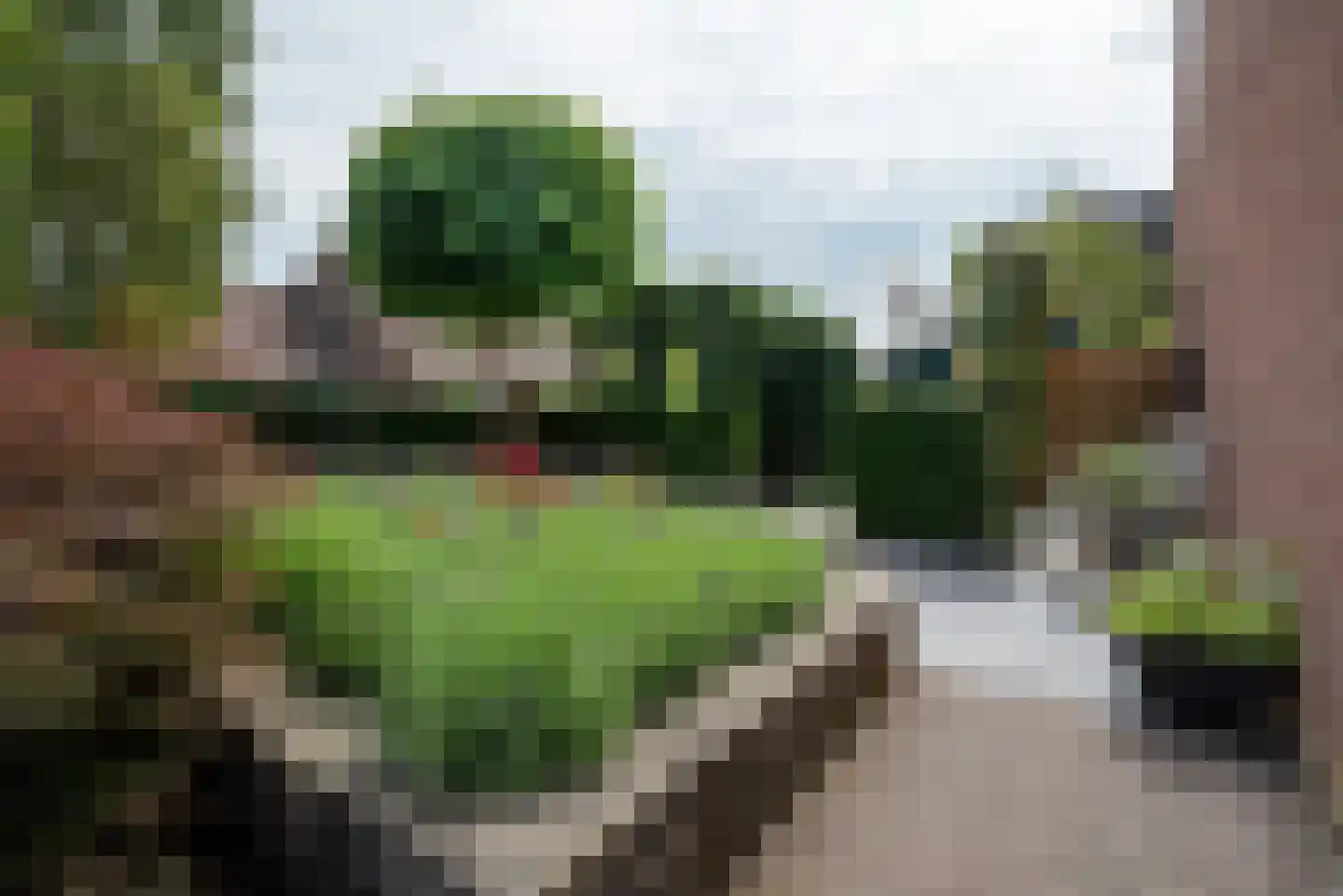 Boslaan 32 Zuidbroek thumbnail 15