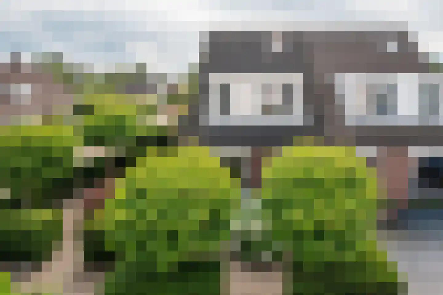 Boslaan 32 Zuidbroek thumbnail 5
