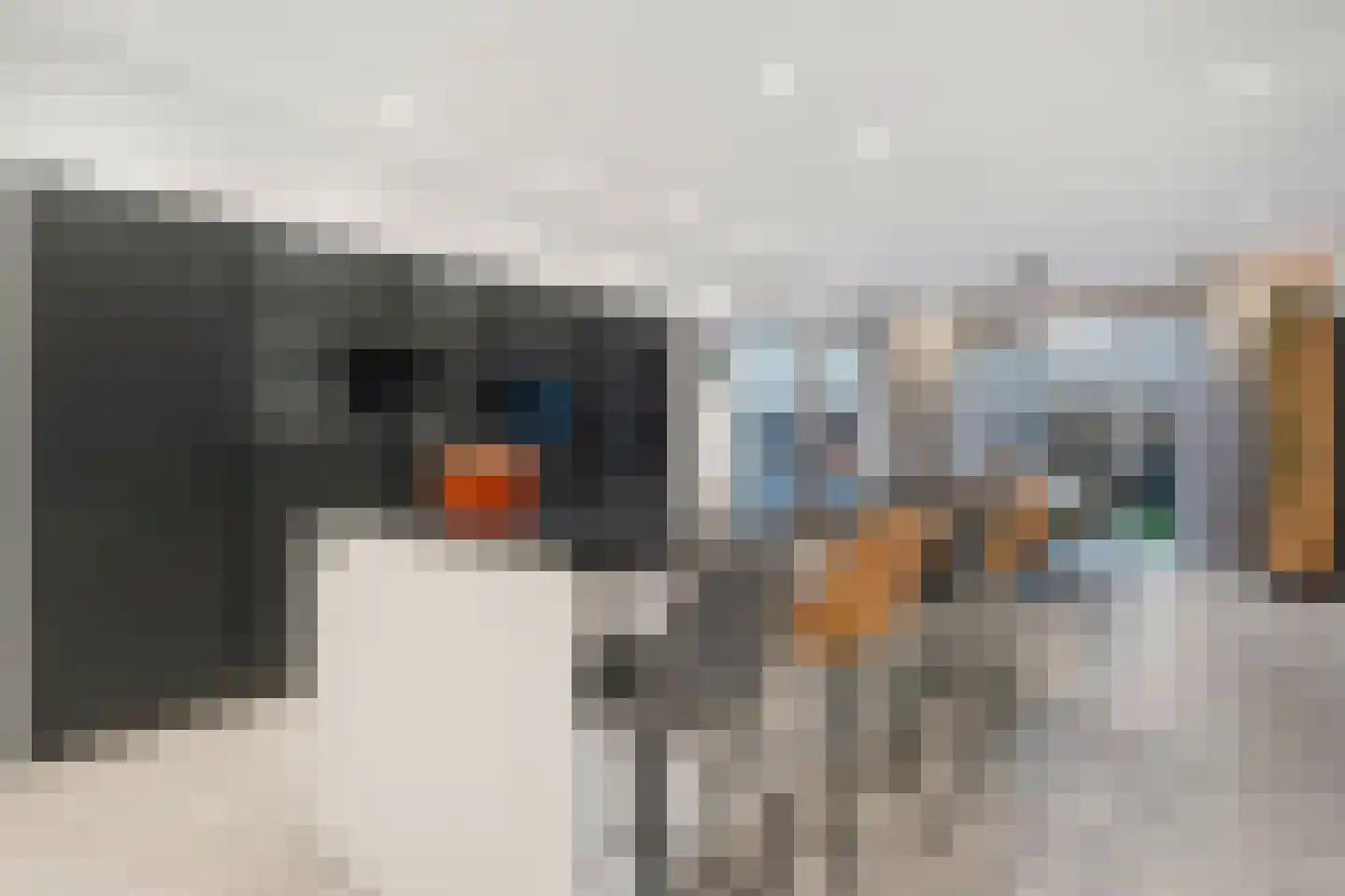 Boslaan 34 Geesbrug thumbnail 14