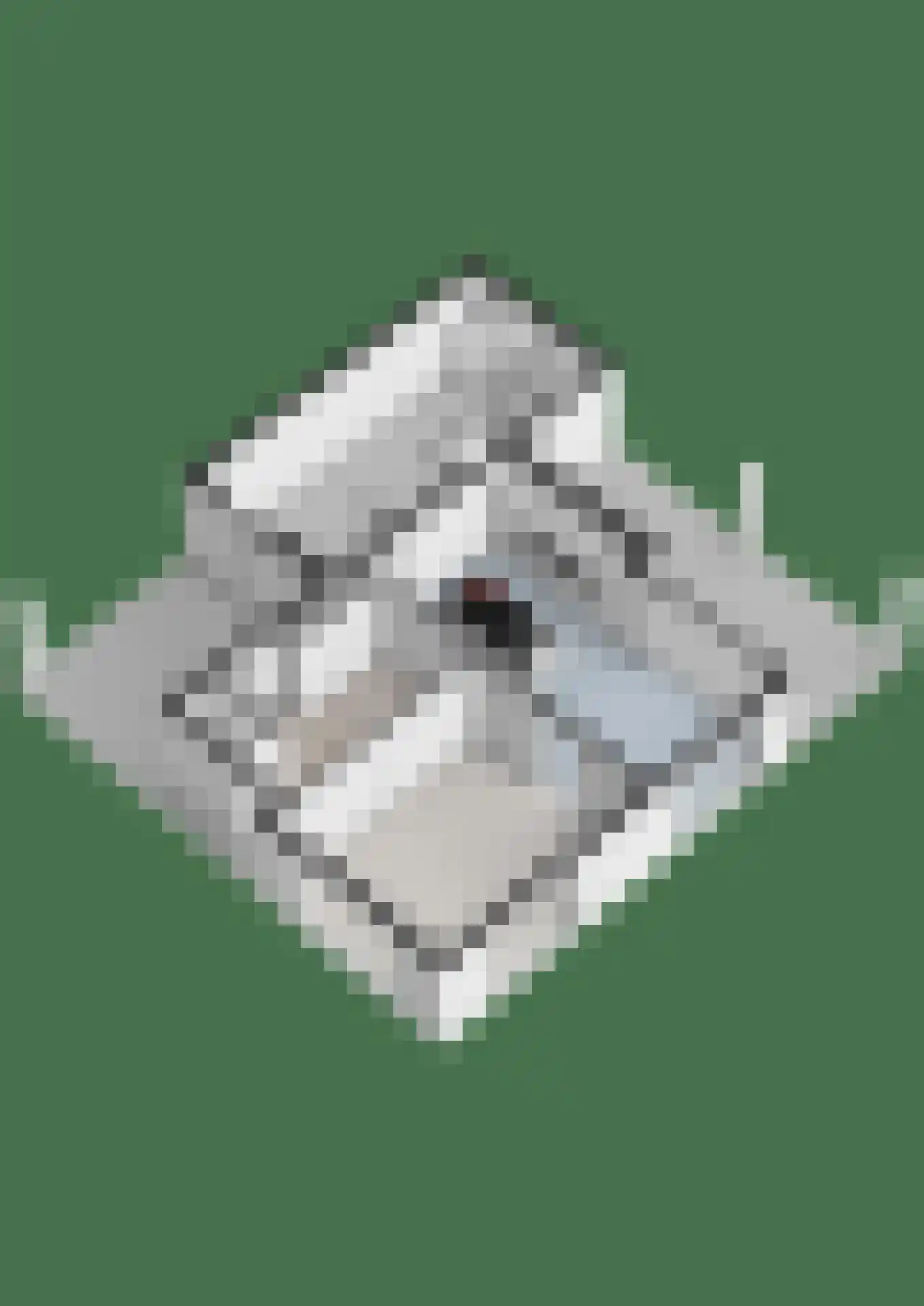 Boslaan 34 Geesbrug thumbnail 58