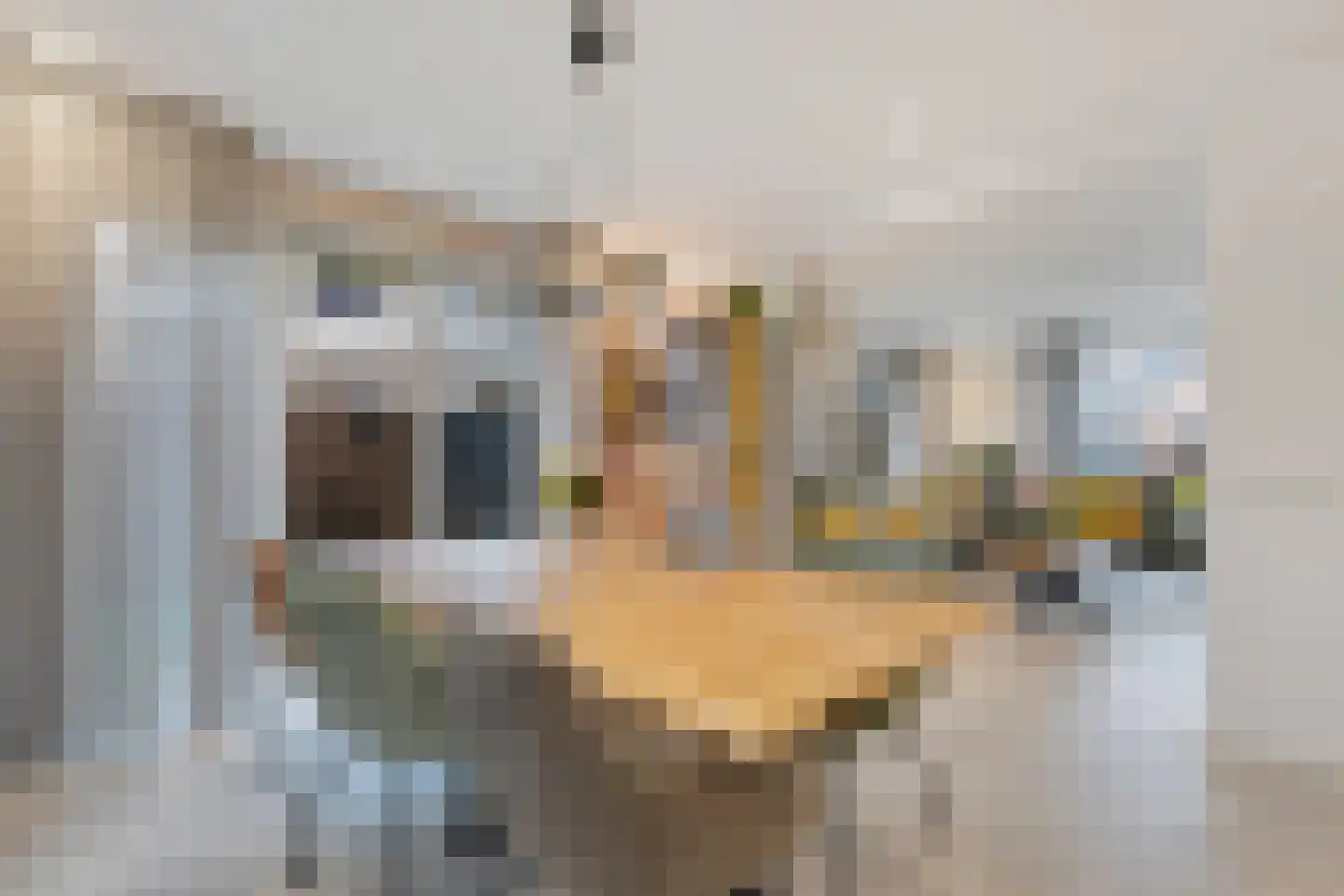 Boslaan 34 Geesbrug thumbnail 8