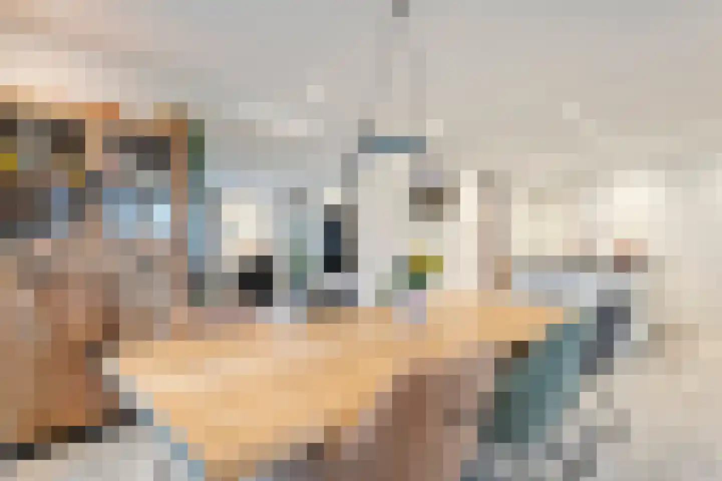 Boslaan 34 Geesbrug thumbnail 9