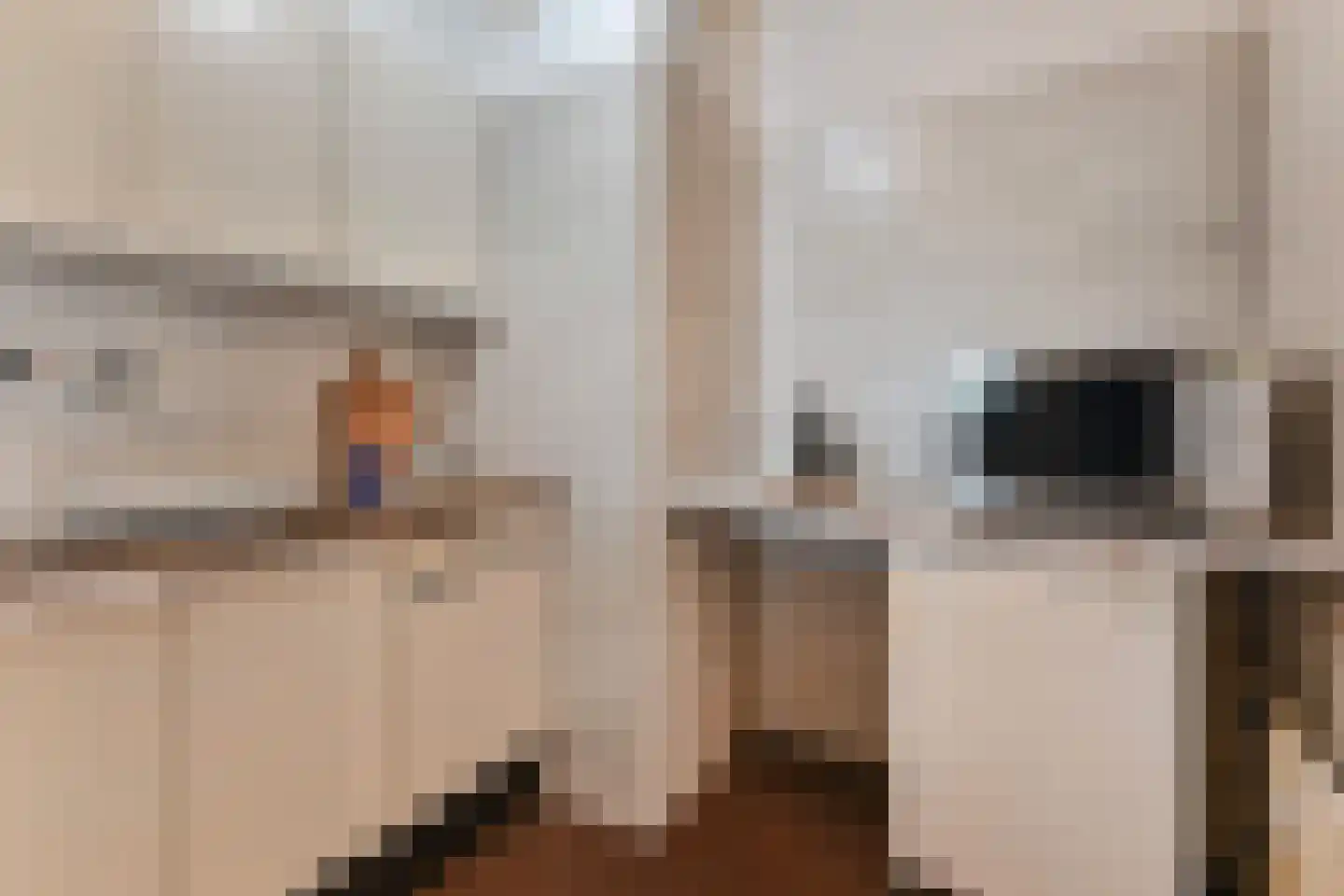 Boslaan 343 Den Haag thumbnail 19