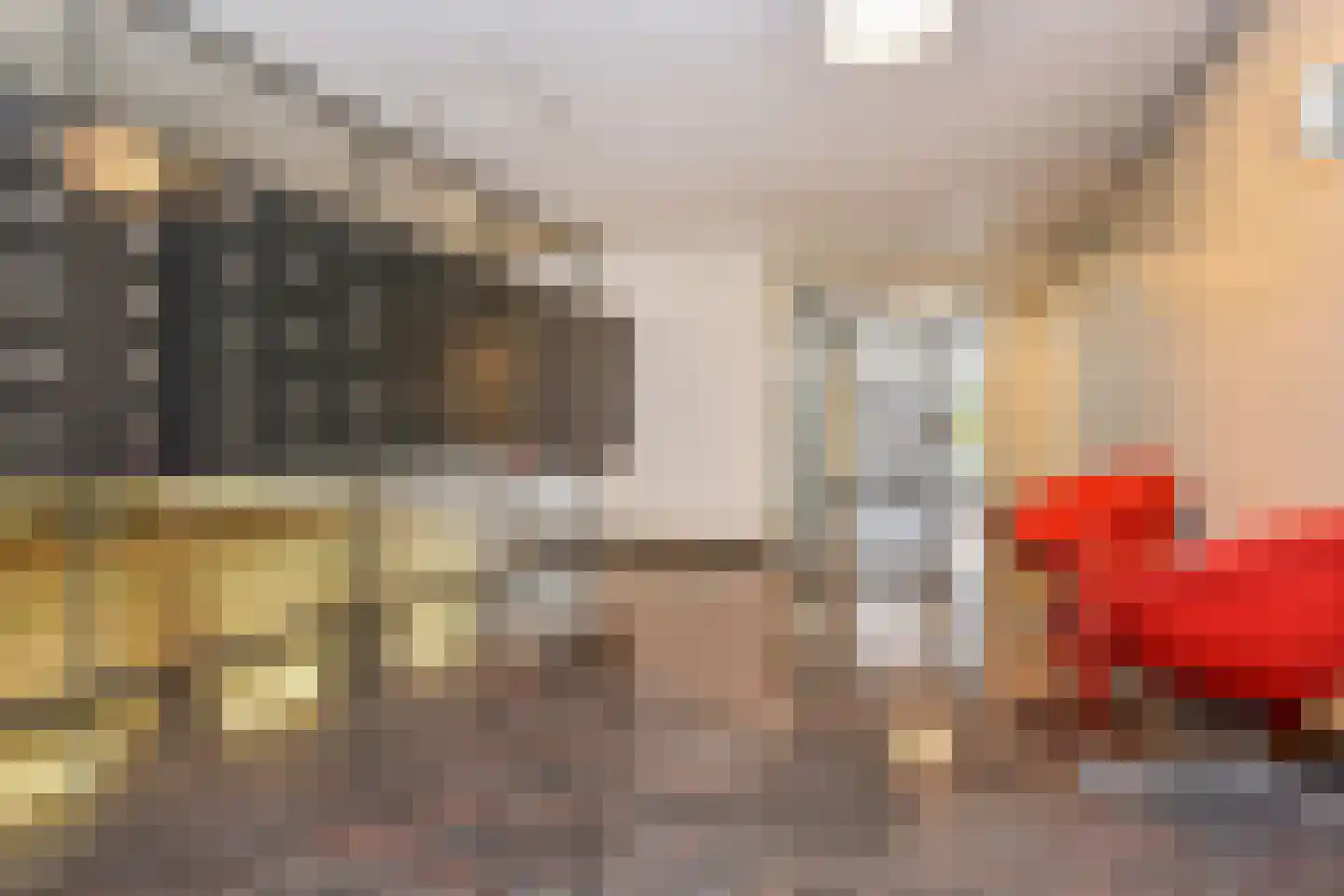 Boslaan 343 Den Haag thumbnail 5