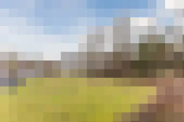 Boslaan 36 Katwijk thumbnail 31