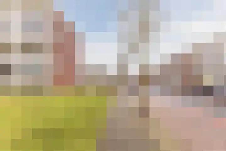 Boslaan 36 Katwijk thumbnail 40