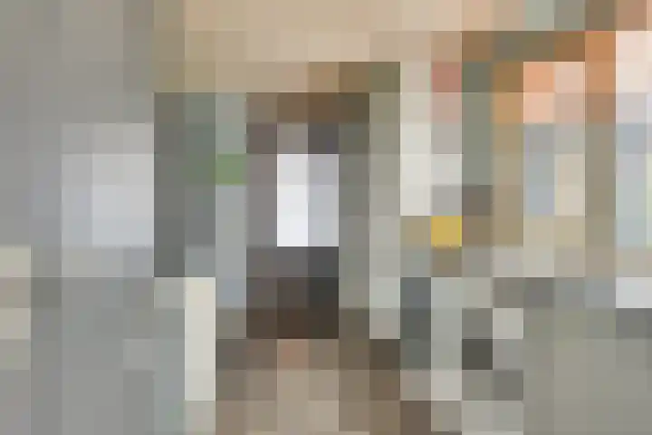 Boslaan 36 Son en Breugel thumbnail 10
