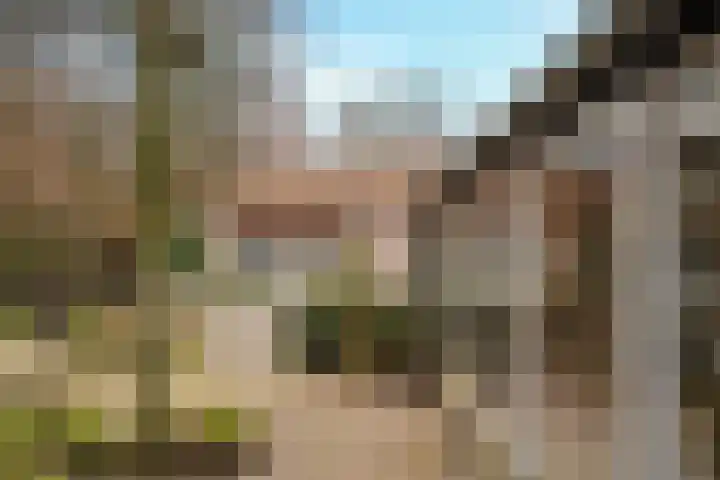 Boslaan 36 Son en Breugel thumbnail 40