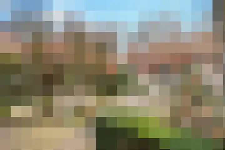 Boslaan 36 Son en Breugel thumbnail 41