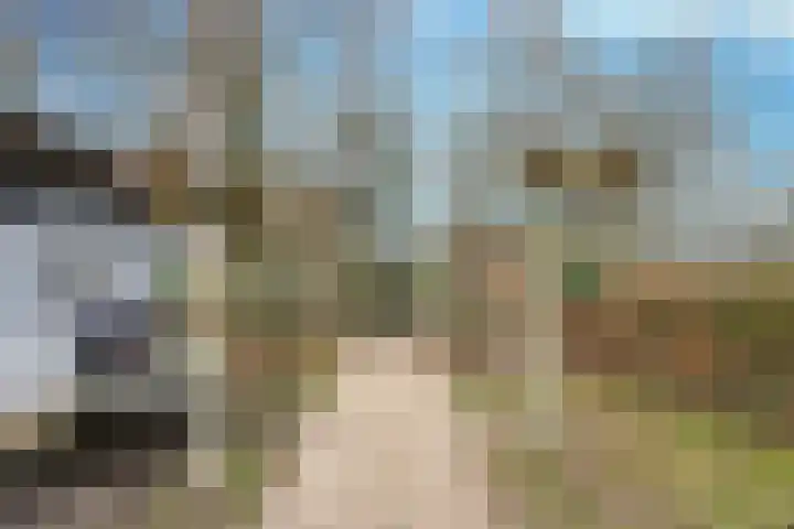 Boslaan 36 Son en Breugel thumbnail 46