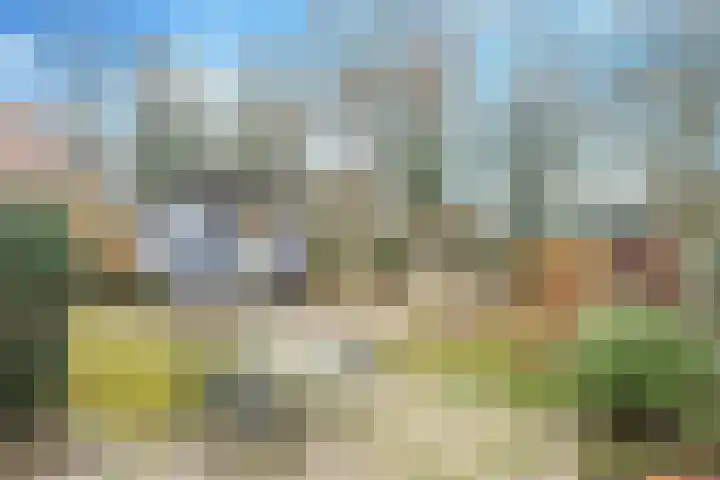 Boslaan 36 Son en Breugel thumbnail 47