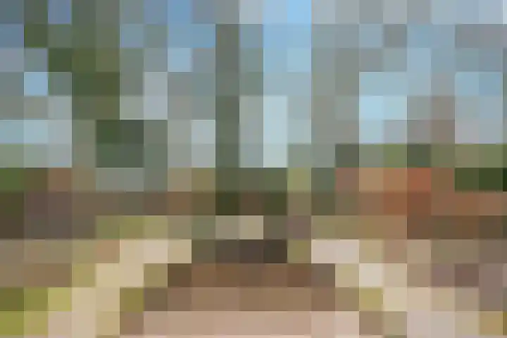 Boslaan 36 Son en Breugel thumbnail 5